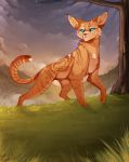  2015 blue_eyes cat day detailed_background digital_media_(artwork) feline feral fur grass mammal maplespyder maplespyder_(character) no_sclera orange_fur outside paws solo standing 