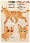  2015 blue_eyes cat digital_media_(artwork) feline female feral fur mammal maplespyder maplespyder_(character) model_sheet orange_fur solo standing tan_fur 