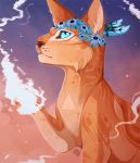  2016 blue_eyes brown_nose cat digital_media_(artwork) feline feral fur mammal maplespyder orange_fur outside sitting sky solo 