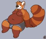  2018 anthro belly black_nose bulge clothing digital_media_(artwork) eyes_closed fur grey_background male mammal moobs navel nipples orange_fur overweight overweight_male p3ntavus red_panda signature simple_background sitting slightly_chubby smile solo underwear 