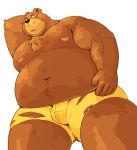  2018 anthro arufina_w bear belly brown_fur bulge clothing fur humanoid_hands male mammal moobs navel nipples overweight overweight_male simple_background solo torn_clothing underwear white_background 
