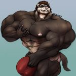  anthro beard clothing facial_hair ferret grope huge_bulge hyper hyper_muscles looking_at_viewer male mammal muscular muscular_male mustelid oldshep pecs smile solo standing underwear 