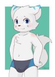  anthro blue_eyes blue_fur blush bulge cat child clothing cub cynxie_(artist) feline fur hands_on_hip looking_at_viewer male mammal navel pawpads solo speedo standing swimsuit white_fur young 