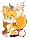  2018 anthro black_nose blush canine clothing dagasi dipstick_tail footwear fox fur gloves hi_res male mammal miles_prower multicolored_tail simple_background sitting smile solo sonic_(series) video_games white_fur yellow_fur 