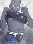  2018 abs anthro blue_eyes blush bulge cellphone clothing fur grey_fur jeans male mammal muscular muscular_male navel nipples pants phone seecle_4511 shirt solo standing underwear 