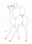  2018 anus big_butt butt cervine cervine_pussy ecmajor female feral hooves looking_at_viewer looking_back mammal presenting pussy raised_tail sketch solo 