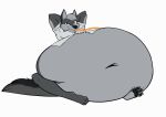  animated anthro belly big_belly blue_eyes canine clothed clothing drinking fur grey_fur male mammal navel overweight pancak3 sitting solo wolf 