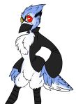  anthro avian avis_jay bird blue_jay clothing corvid feathers heterochromia lithiumem scar solo 