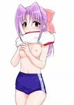  blush bow breasts brown_eyes buruma dressing gakkou_no_kaidan_(anime) gym_uniform hechi koigakubo_momoko long_hair nipples pink_bow ponytail purple_hair ribbon small_breasts solo 