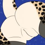  2018 anthro biped butt cheetah clothing feline female fur humanoid_pussy leggings legwear mammal mepan nude pussy raised_tail rear_view simple_background spots spotted_fur upskirt zeliska 