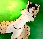 2018 anthro arms_above_head big_breasts biped black_hair bra breasts cheetah clothed clothing feline female fully_clothed fur grass hair long_hair looking_at_viewer lying mammal navel nipples on_back outside panties public pussy racerdragon skimpy smile spots spotted_fur underwear zeliska 