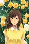  closed_mouth collared_shirt commentary_request eyebrows_visible_through_hair flower green_eyes highres leaf looking_at_viewer munakata_(hisahige) original peter_pan_collar rose shirt short_sleeves solo yellow_flower yellow_rose yellow_shirt 