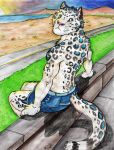  2017 5_fingers anthro beach clothed clothing eyebrows feline humanoid_hands leomagna leopard looking_back male mammal muscular muscular_male outside partially_clothed rear_view sea seaside signature sitting snow_leopard solo topless victory_(texdot) water whiskers 