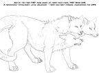  arania canine cerberus clothing conjoined english_text fur hair herm human_to_feral intersex mammal multi_head sketch text transformation transformation_sequence 