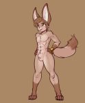  2018 abs animal_genitalia athletic balls biceps big_ears black_nose brown_background brown_fur brown_hair canine claws fennec fox fur green_eyes hair hands_on_hip hybrid jackal jia_(scorpdk) male mammal multicolored_fur nude open_mouth open_smile scorpdk sheath simple_background smile solo standing tan_fur toe_claws two_tone_fur 