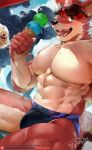  18plusplus 2018 5_fingers abs anthro biceps canine clothing dessert eyewear food fur humanoid_hands ice_cream male male_focus mammal muscular muscular_male outside patreon pecs sky solo summer sunglasses swimsuit 