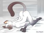  2018 all_fours anthro ass_up bed blush butt cat colin_(prismhawk) digital_media_(artwork) feline grabbing_sheets male mammal nude on_bed pinup pose presenting presenting_hindquarters prismhawk raised_tail siamese solo 