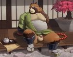  balls belly big_balls big_belly bottomless butt canine clothed clothing flaccid foreskin gigasaddle gyobu jewelry male mammal necklace nipples overweight penis robe small_penis solo tanuki tattoo tokyo_afterschool_summoners 