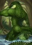  abs anthro back_muscles biceps butt crocodile crocodilian forest green_scales male muscular muscular_male nude open_mouth partially_submerged pecs purple_eyes rear_view reptile scales scalie simple_background smile solo standing swamp t.y.stars teeth tree water wet 