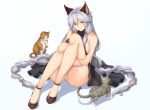  animal_ears ass bangs black_dress blush braid breasts cat commentary_request dress erune granblue_fantasy hair_between_eyes hair_tubes heles high_heels highres knees_up large_breasts legs long_hair looking_at_viewer panties sideboob sidelocks silver_hair simple_background sitting smile solo terry_(pixiv3274443) thighs twin_braids underwear very_long_hair white_background white_panties yellow_eyes 