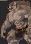  2018 abs anthro biceps black_nose bulge canine clothing fur male mammal marototori muscular muscular_male nipples pecs solo underwear 
