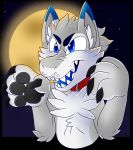  2018 4_fingers ambiguous_gender anthro big_claws black_claws black_pawpads blue_eyes blue_fur blue_tongue chest_tuft claws collar cute_fangs dipstick_ears dragon ear_tuft full_moon fur furred_dragon grey_fur icefire moon naked_collar night nude open_mouth outside pawpads senky sharp_claws sharp_teeth sky solo star teeth tuft were white_belly white_fur 