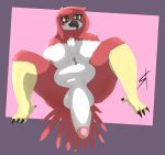  2018 acacia_stormwood_(frooby) anthro avian beak big_breasts big_penis bird breasts butt dickgirl digital_media_(artwork) dog_tags feathers hair humanoid intersex parrot penis scar simple_background slightly_chubby solo standing_tough vein 