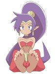  1girl barefoot blue_eyes breasts dark_skin earrings feet jewelry long_hair looking_at_viewer pointy_ears ponytail purple_hair salpin shantae_(character) shantae_(series) soles toes underboob 