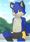  anthro black_fur blue_fur brown_eyes bulge canine child clothing cub cynxie_(artist) fox fur male mammal open_mouth shorts sitting sky solo swimming_pool swimsuit water white_fur young 