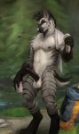  2018 ace_(graydiel) anthro backpack black_penis chunie clothing detailed_background digital_media_(artwork) edit forest fur grey_fur hi_res holding_object humanoid_penis hyena lake looking_at_viewer male mammal muscular muscular_male nipple_piercing nipples nude orange_eyes partially_retracted_foreskin penis piercing smile solo standing striped_hyena stripes towel tree uncut water white_fur white_nose 