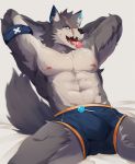  2018 abs anthro biceps candy canine clothing food fur hi_res male mammal muscular muscular_male nekojita nipples scar swimsuit wolf 