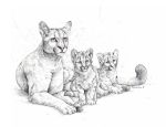  2018 ambiguous_gender digital_media_(artwork) feline feral fur group lying mammal paws sketch standing turnipberry young 