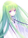  &gt;:( androgynous commentary_request fate/grand_order fate_(series) green_hair highres kingu_(fate) long_hair looking_at_viewer male_focus purple_eyes rai_miruku robe twitter_username upper_body 