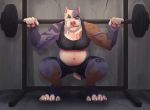  anthro belly big_belly blue_fure brown_fure caffeinatedcreep canine clothed clothing crouching dog exercise female looking_at_viewer mammal muscular muscular_female pit_bull solo weightlifting white_fure workout 