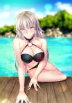  bikini fate/grand_order jeanne_d&#039;arc jeanne_d&#039;arc_(alter)_(fate) nakamura_tenjin swimsuits wet 