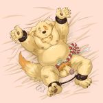  alternate_version_at_source bdsm bed bed_sheet bedding belly bondage bound canine cum cusith dog flaccid leather leg_restraint male mammal navel nipples pawpads penis pubes shadowwow slightly_chubby tokyo_afterschool_summoners tuft 