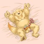  alternate_version_at_source bed bed_sheet bedding belly canine cusith dog flaccid humanoid_penis male mammal navel nipples nude pawpads penis pubes shadowwow slightly_chubby tokyo_afterschool_summoners tuft 