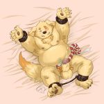  alternate_version_at_source bdsm bed bed_sheet bedding belly bondage bound canine cum cusith dog erection leather leg_restraint male mammal navel nipples pawpads penis pubes shadowwow slightly_chubby tears tokyo_afterschool_summoners tuft 