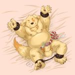  alternate_version_at_source bdsm bed bed_sheet bedding belly bondage bound canine cusith dog erection leather leg_restraint male mammal navel nipples pawpads penis pubes shadowwow slightly_chubby tokyo_afterschool_summoners tuft 