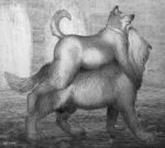  1999 animal_genitalia anthro anthro_on_feral balls bd belly bestiality black_and_white black_nose canine carrying claws dog duo eyes_closed feral fur holding_(disambiguation) male male/male mammal monochrome pencil_(artwork) piggyback sheath slightly_chubby toe_claws traditional_media_(artwork) 