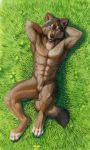  animal_genitalia balls canine fur grass hibbary lazywolf male mammal nude one_eye_closed sheath smile solo timberwolf wink wolf 