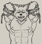  abs anthro bdsm bondage bound canine chain clothed clothing dog garmr hands_behind_head male mammal muscular muscular_male nipples pecs sketch solo thevillager tokyo_afterschool_summoners topless 