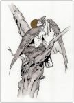  avian breasts caraid female greyscale harpy looking_at_viewer monochrome nipples nude sitting solo talons traditional_media_(artwork) watercolor_(artwork) winged_arms wings 