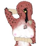  americancockroach anthro avian bearded_vulture bird breasts chest_tuft digital_media_(artwork) female looking_at_viewer nipples nude simple_background solo tuft vulture white_background 