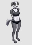  4_toes anthro biped black_eyebrows black_fur black_nose border_collie bra breasts brown_eyes canine choker clothing collie digital_media_(artwork) dog eyebrows female floppy_ears fur grey_tail hands_behind_back looking_at_viewer mammal multicolored_fur navel panties short_tail simple_background smile solo sports_bra standing toes two_tone_fur underwear unknown_artist white_fur 