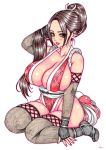  1girl breasts brown_hair fatal_fury huge_breasts kneeling kyo ponytail shiranui_mai solo 