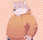 2018 anthro bear blush clothing hi_res hoodie humanoid_hands jambavan male mammal overweight overweight_male pants shimo_kawa smile solo tokyo_afterschool_summoners 
