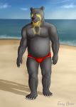  2018 5_fingers 5_toes anthro beach bear belly biceps biped black_fur black_nose bulge claws clothed clothing cloud collarbone digital_drawing_(artwork) digital_media_(artwork) eye_markings facial_markings fangs front_view full-length_portrait fur gray_bear grey_eyes humanoid_hands lighting looking_at_viewer male mammal markings multicolored_fur musclegut muscular muscular_male nivardo_(fursona) open_mouth open_smile outside overweight overweight_male pecs pink_tongue plantigrade portrait sand sea seaside shadow sky smile snout solo spectacled_bear speedo standing swimsuit toe_claws toes tongue topless two_tone_fur water white_claws yellow_fur yellow_markings 