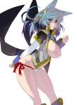  animal_ears blue_eyes blue_hair breasts breasts_outside highres long_sleeves looking_at_viewer masao nipples original revealing_clothes solo 