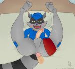  balls bed bed_sheet bedding butt cockpeepee cum feet humanoid_penis male male/male mammal penis procyonid raccoon sly_cooper sly_cooper_(series) sweat video_games 